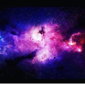 Meet your Posher, Henry